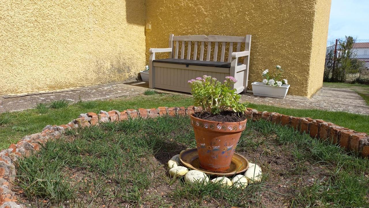 Casa Rural Alameda Con Chimenea Y Jardin El Barco de Ávila Exteriör bild